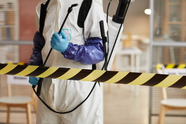 Professional Hoarding Cleanup technician working in Muskegon, MI